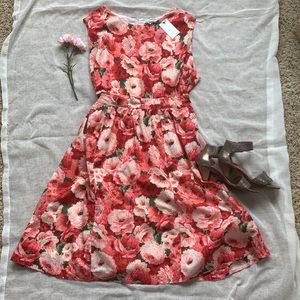 Emily and fin retro inspired floral LUCY dress 4X